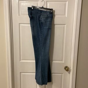 NEW WITH TAGS, Lane Bryant/Venezia Women’s mid rise, boot cut jeans, size 20.